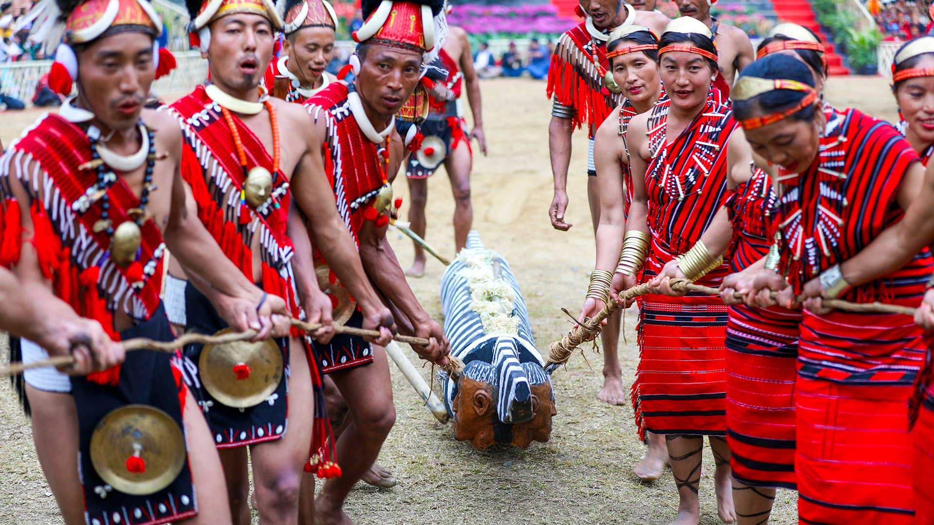 Hornbill Festival (4 Days)