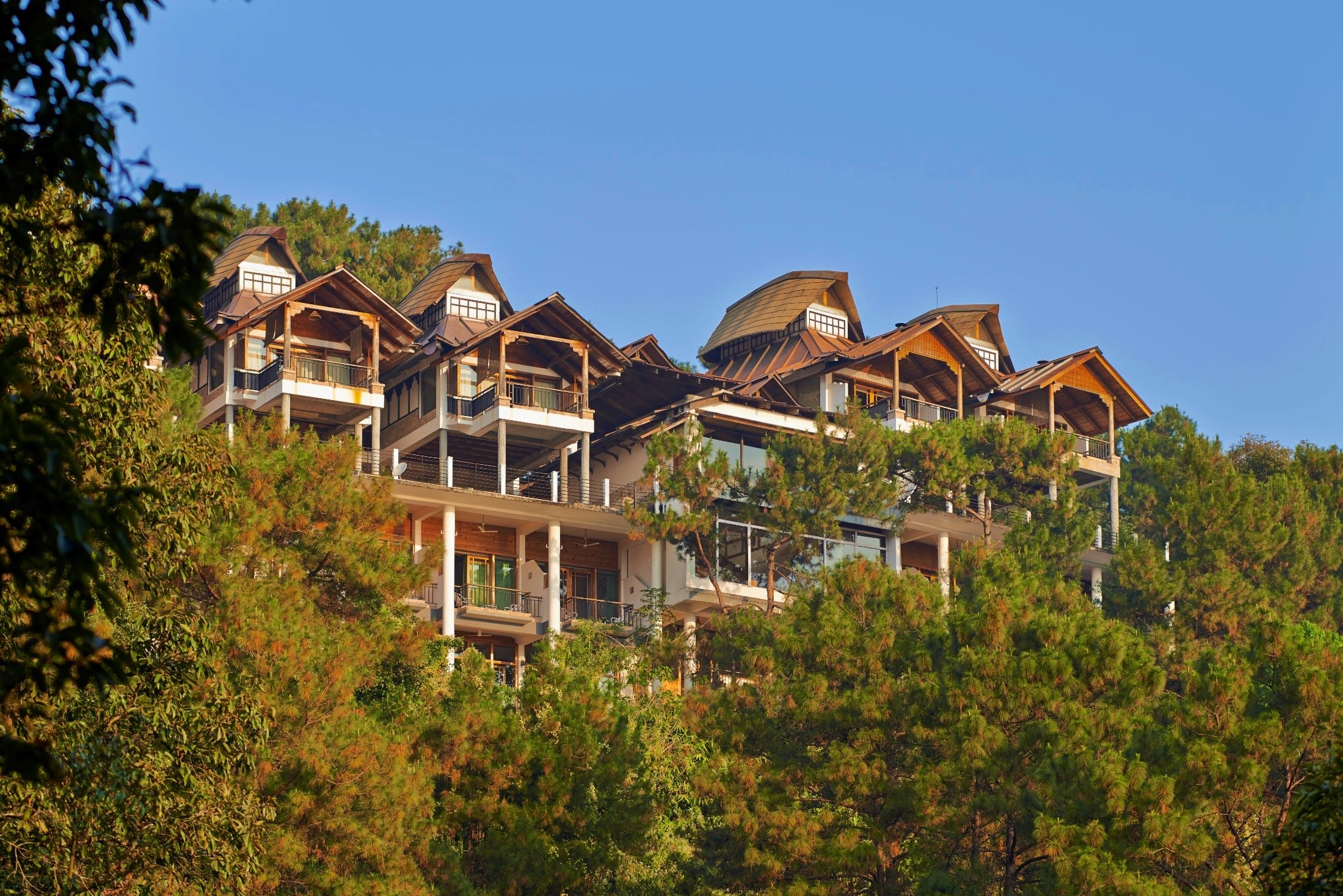 Exterior architectural elevation of stilted wooden cottages inspired by traditional Khasi boat designs nestled on pine slopes.