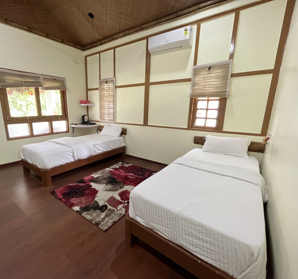 River View Executive AC Twin Room with two single beds and stream views