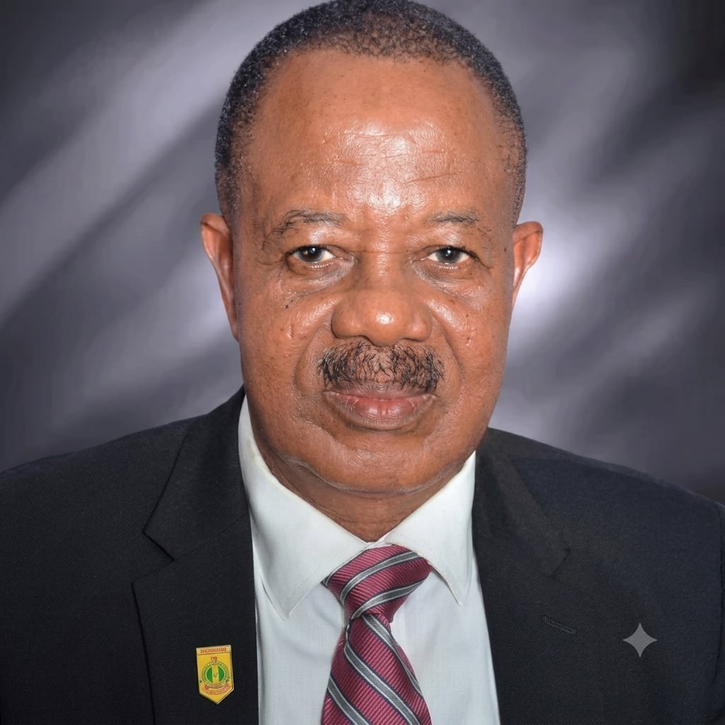 dr ifeanyi eric okoye.png