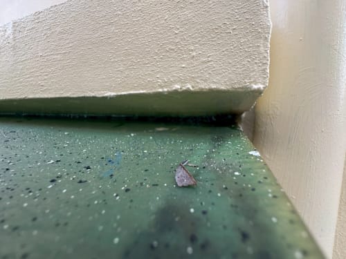 高雄市大社區保糖街外牆防水 004