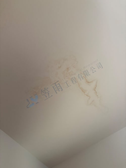 高雄市大社區保糖街外牆防水 016