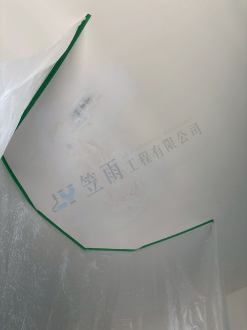 高雄市大社區保糖街外牆防水 018