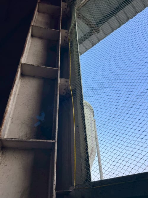 路竹區民族路鳥網安裝 038