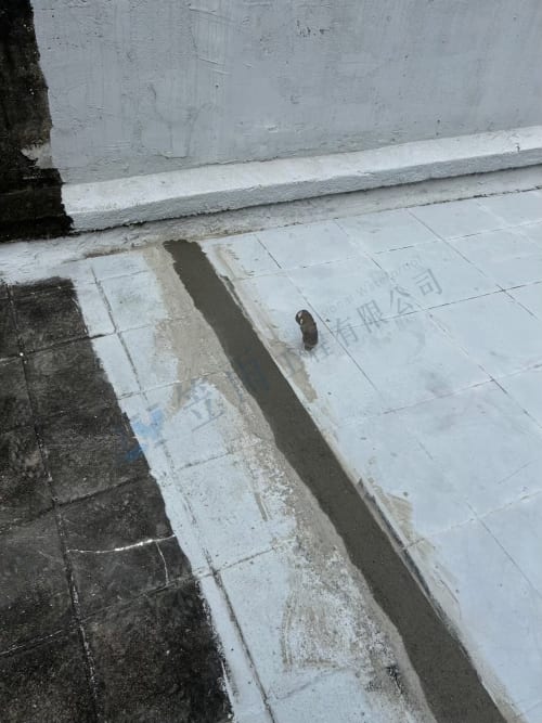 高雄市鳳山區凱旋路屋頂防水 046
