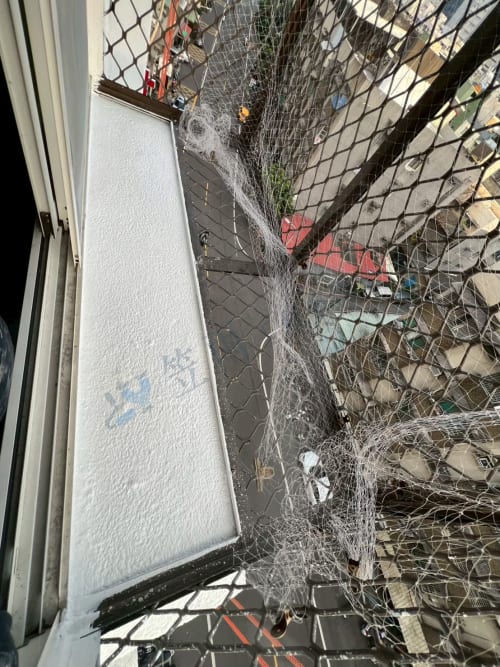 楠梓區壽豐路外牆防水 049