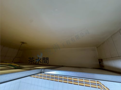 飛碟企業屋頂防水 054