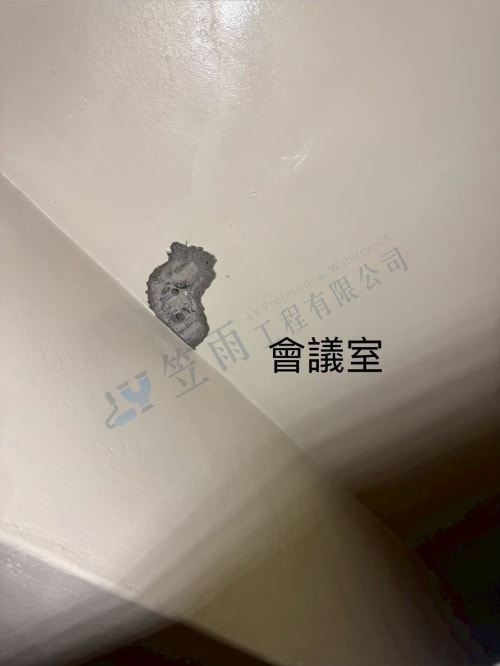 飛碟企業屋頂防水 056