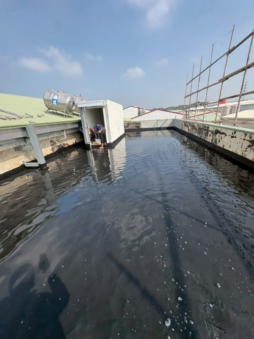 飛碟企業屋頂防水 065