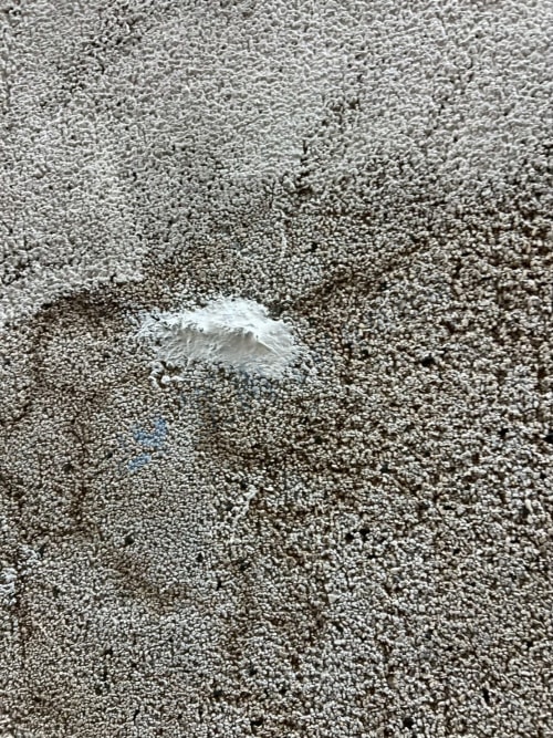 楠梓區壽豐路外牆防水 123