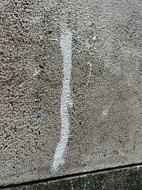 楠梓區壽豐路外牆防水 124