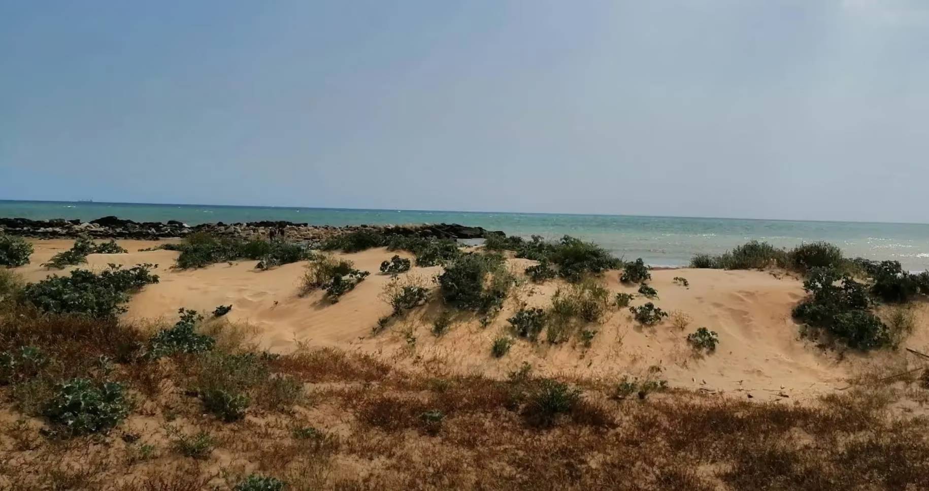 Playa Grande