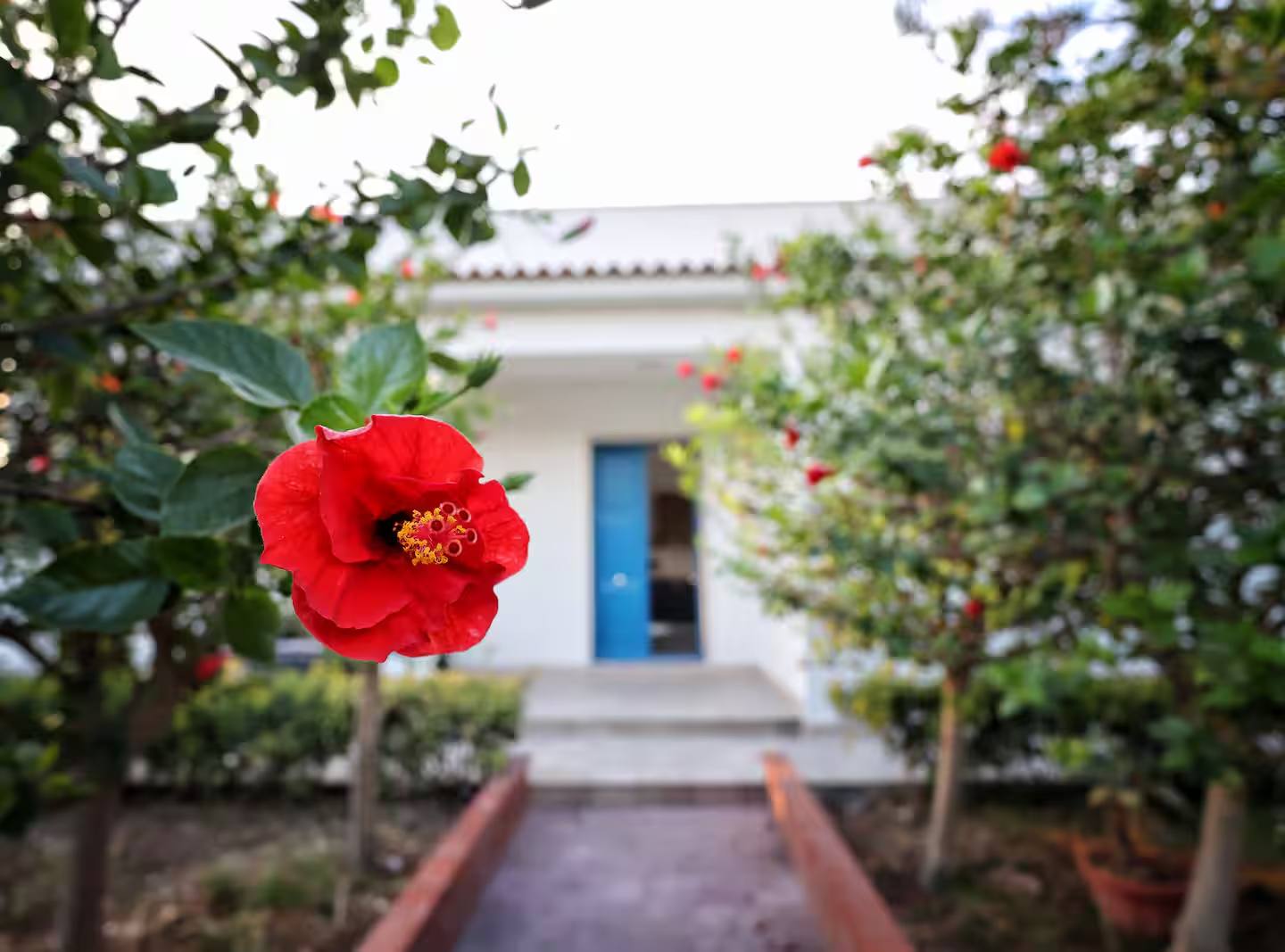 Villa Marzia sul mare — 2