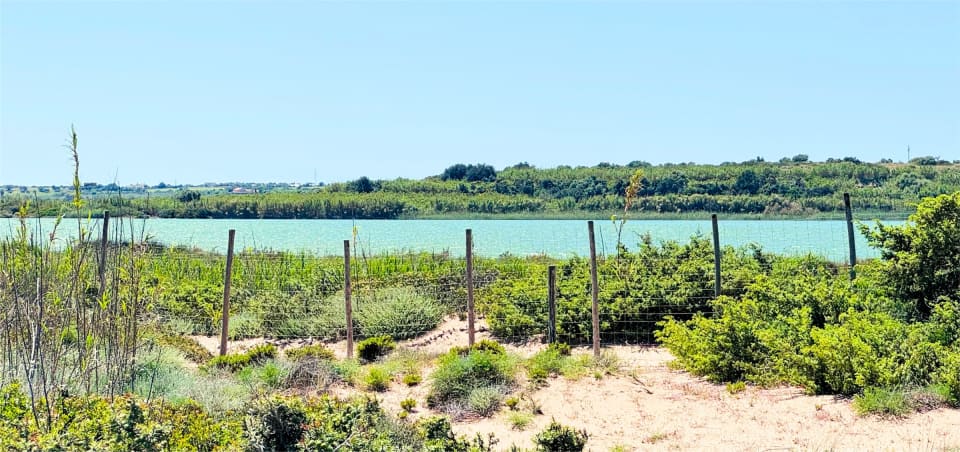 Un pantano della Riserva di Vendicari con la vegetazione e gli uccelli
