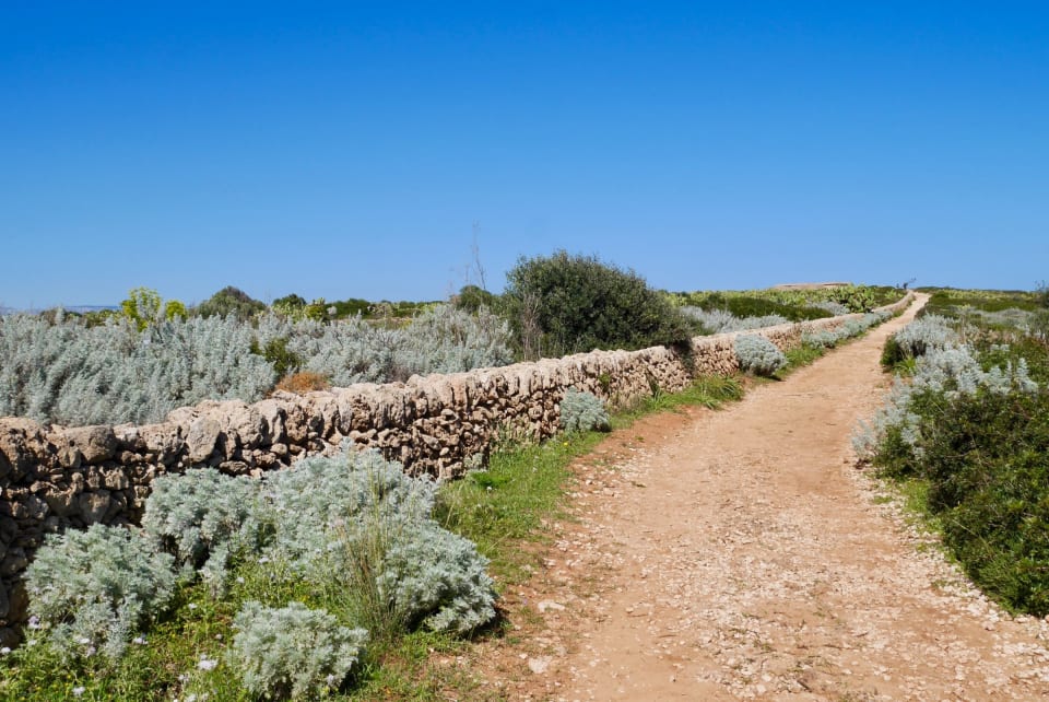 Il sentiero costiero con la costa rocciosa e la vegetazione verso Calamosche
