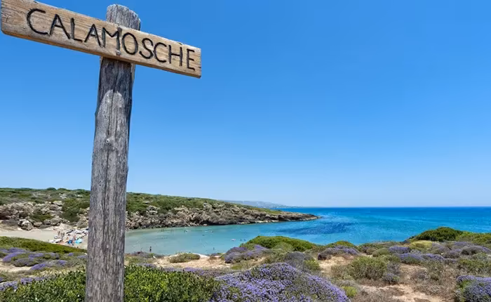 calamosche-vendicari.jpg