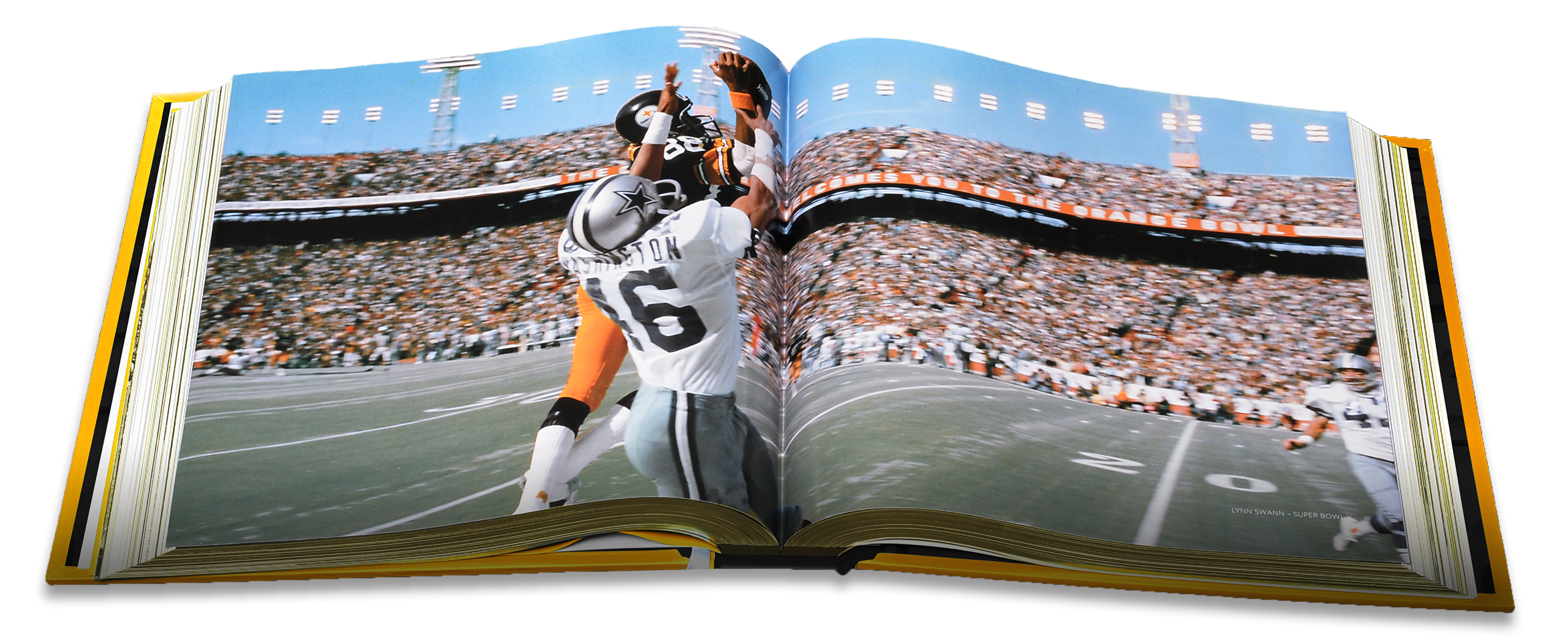 Opus_Footer_Swann_Catch