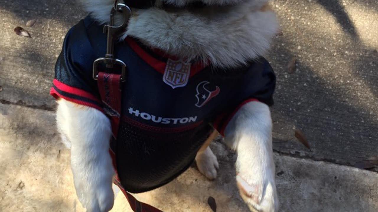 Dog texans jersey hot sale