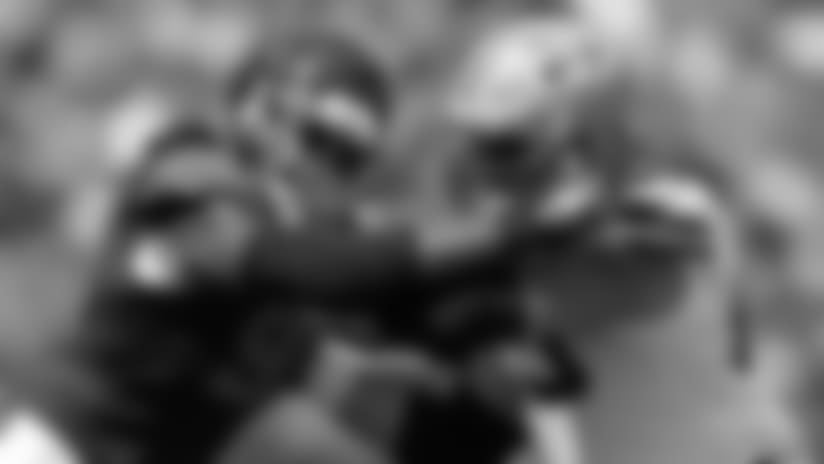 Capsules of Bears' 2017 opponents
