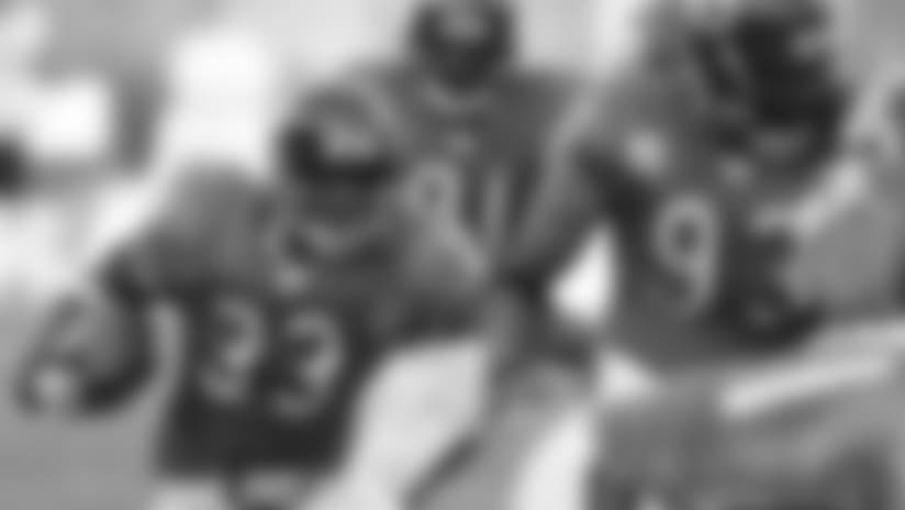 Colorful Monsters: Bears in their orange jerseys