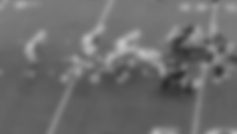 Brownie Point: Colton Schmidt Perfect Punt