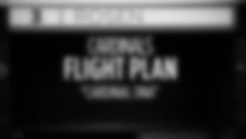 Flight Plan - 'Cardinal DNA'