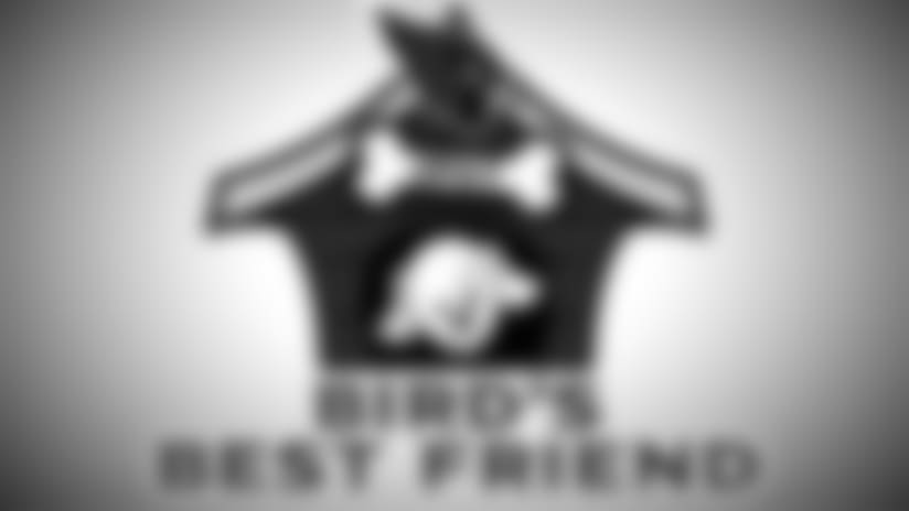 Bird's Best Friend - Peters & Dutchess