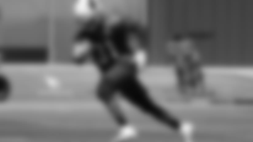 Roster Overview: Running Backs