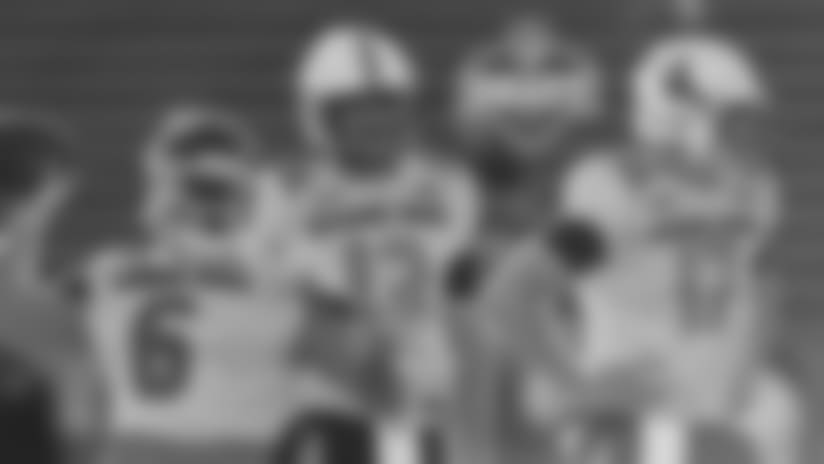 Cardinals' 2018 Draft Primer: Offense
