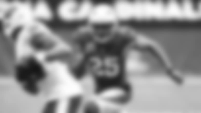 Tramon Williams And Future Cornerback Stability