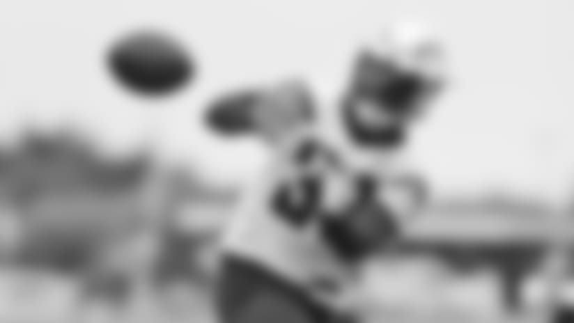 OTAs Spotlight: Day 8