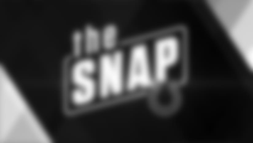 The Snap: 2017 Reviews - Outside Linebackers
