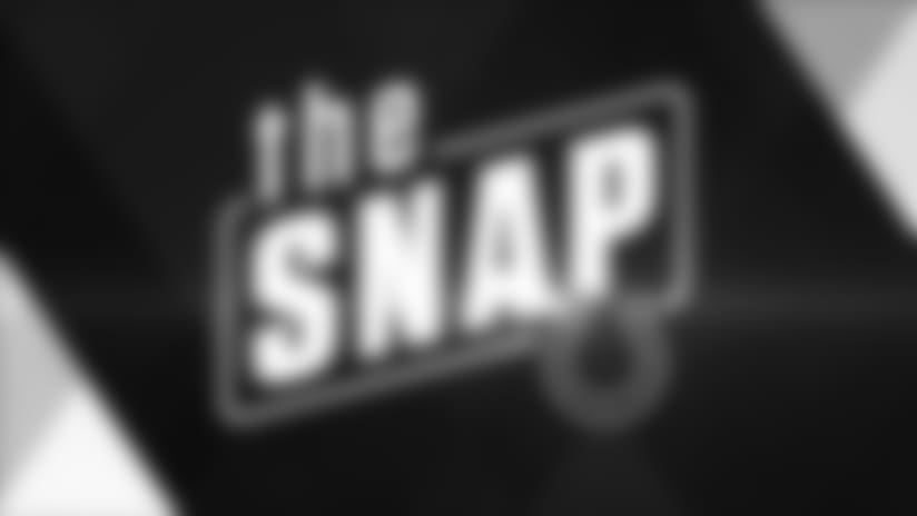 The Snap: 2017 Reviews - Defensive Line
