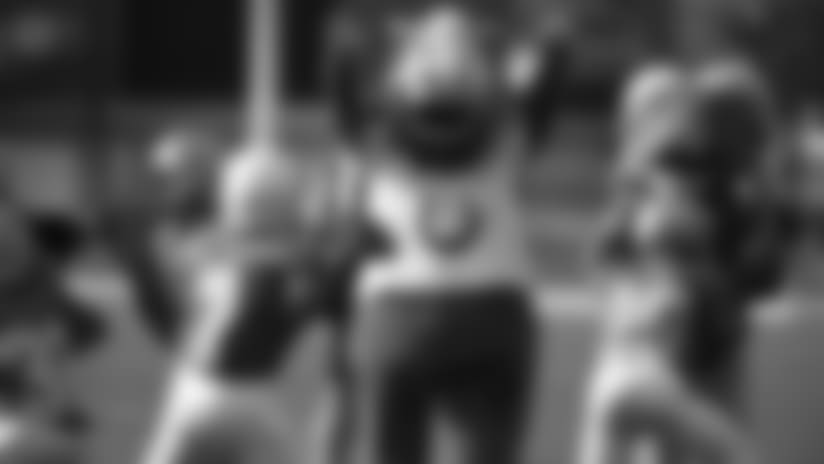 Best of the Best: Mascots vs. Pee Wees