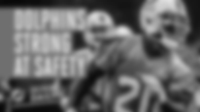 Dolphins Daily: Dolphins Strong At Safety