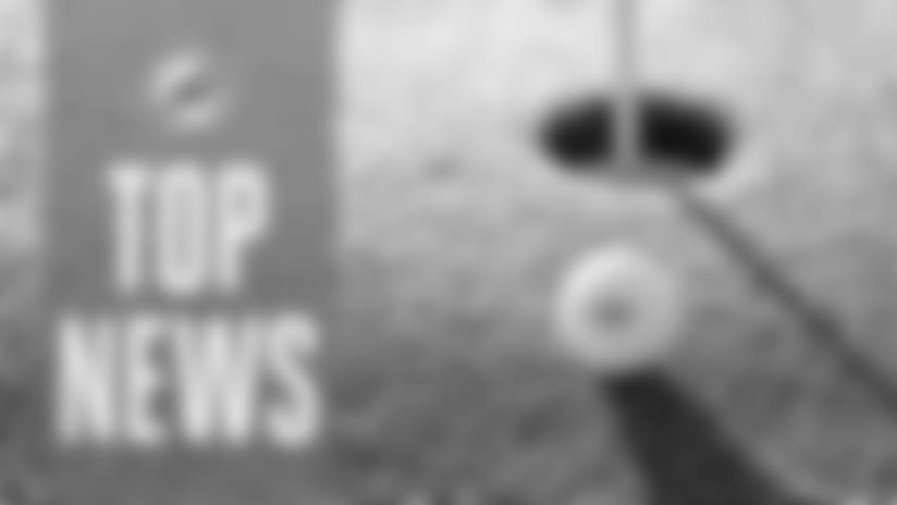 Top News: Fins Weekend, Start Of Minicamp
