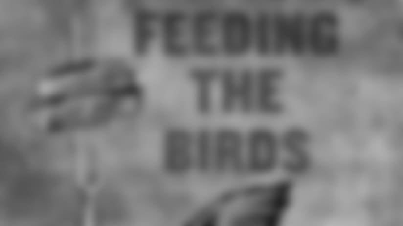 Feeding The Birds: Mike Quick's Secret Recipe