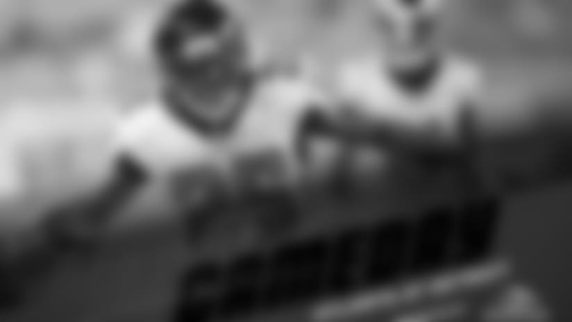 Falcons at Work: Week 2