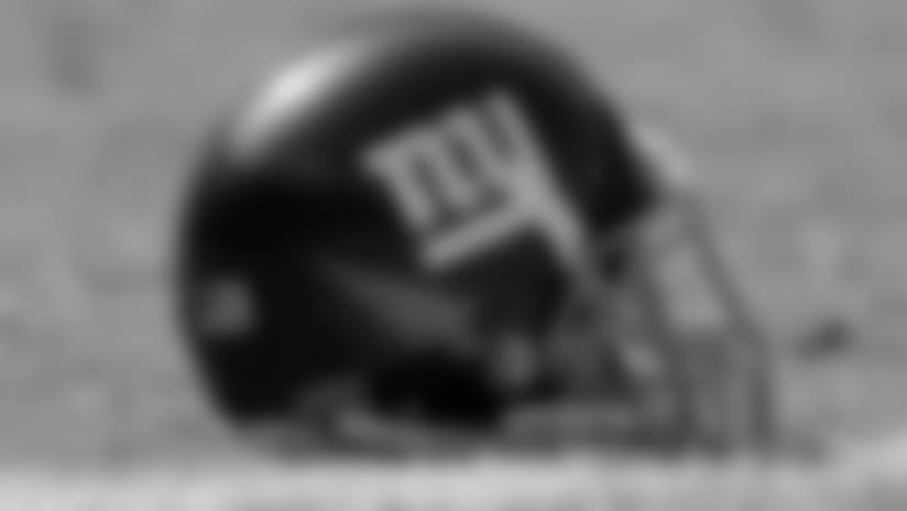 helmet-new-11217.jpg