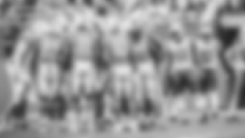 scouting-dolphins-art2-E_MK2_8810.jpg