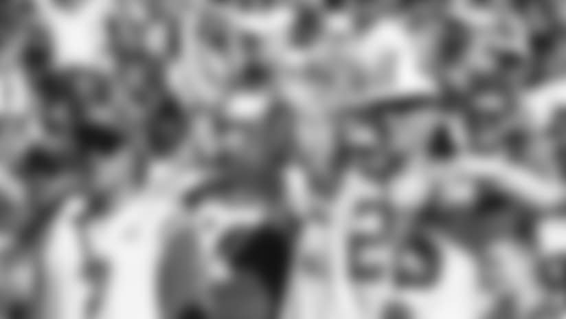BR4T1185-guide-fans-1.jpg