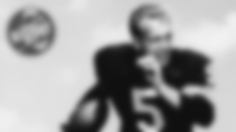 Would Lombardi have taken Jim Brown over Hornung?
