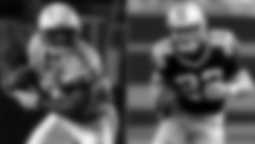 Panthers' pieces similar to Norv Turner success stories