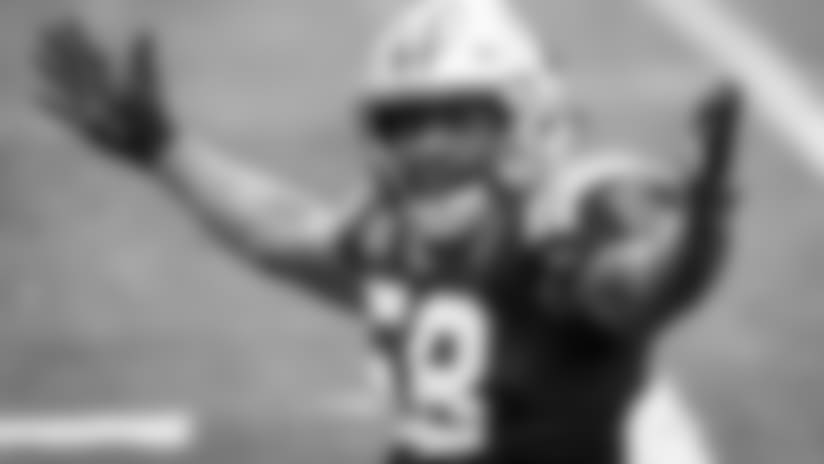 Listen: Panthers Podcast