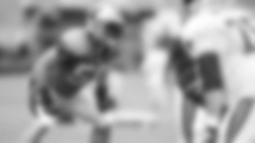 Panthers Training Camp Observations: Day 10