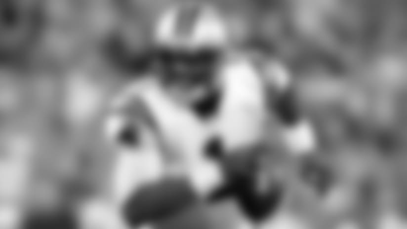 Panthers Fantasy Outlook