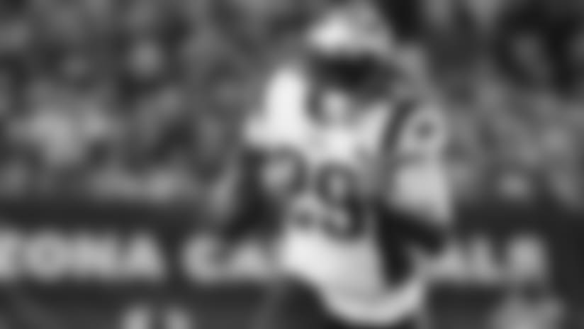 1000x380_2016_legarrette_blount_white_2.jpg