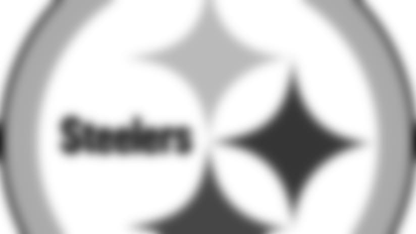 steel-mark-1-web.gif