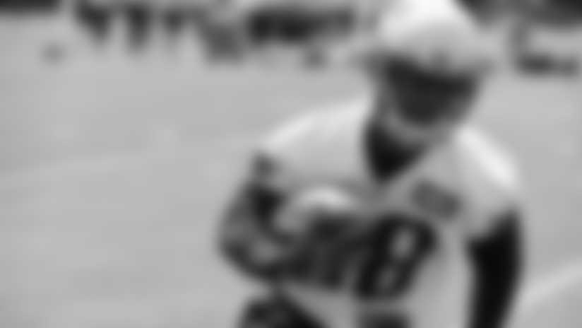 '4 Downs' New England Patriots: 2017 fantasy player to watch-No RB