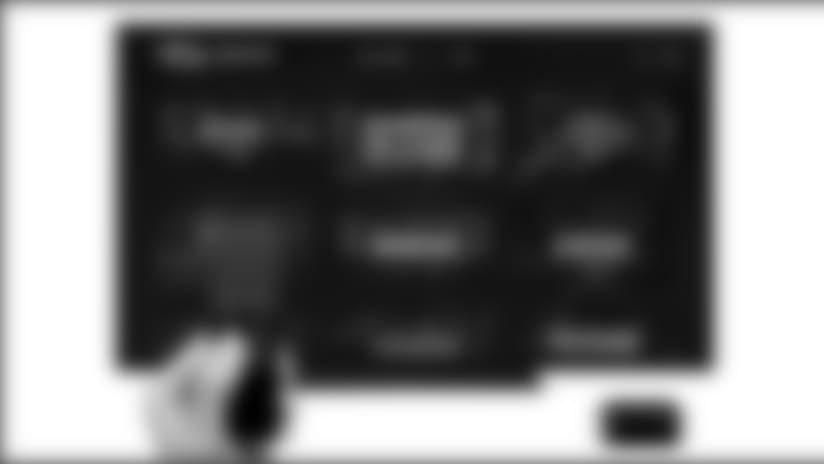 tt10417_ravens.jpg